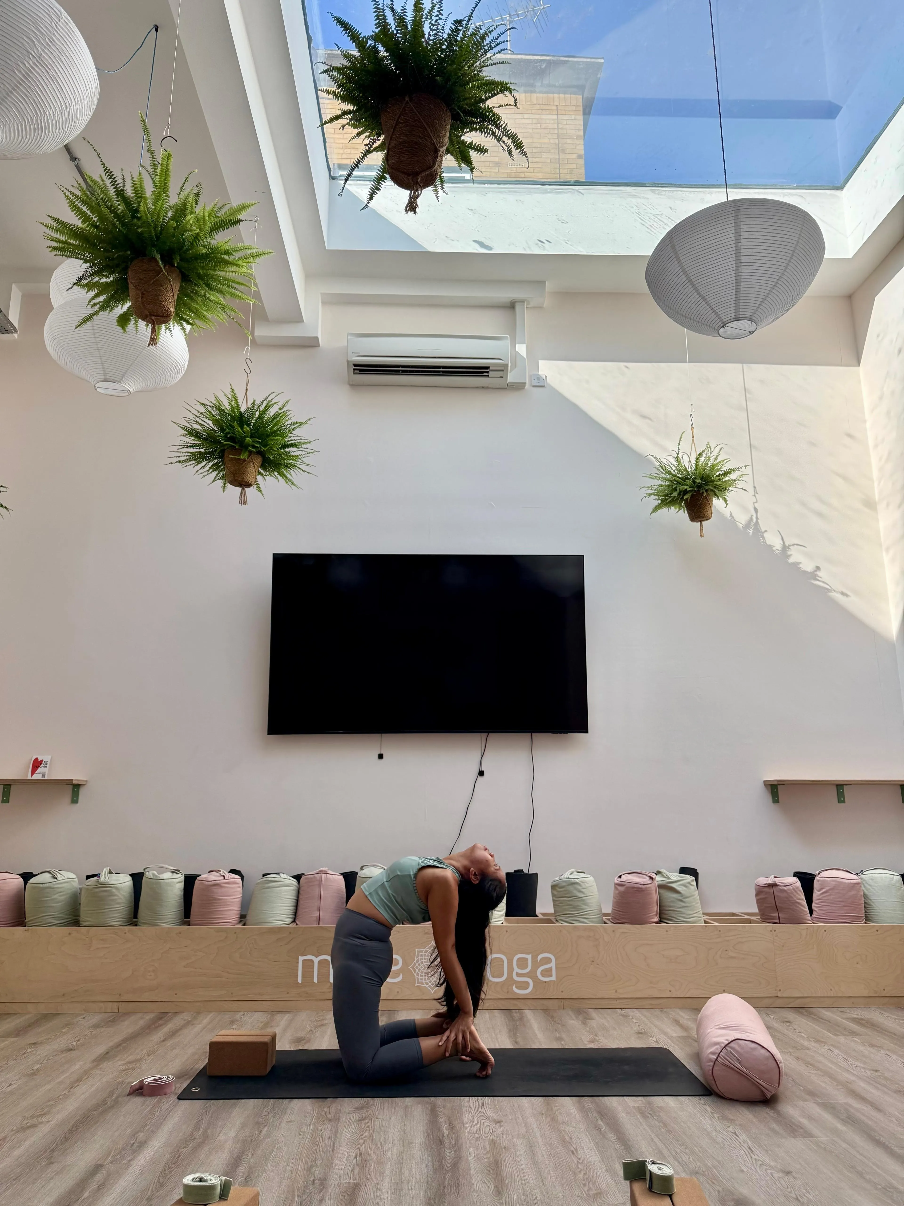 Ardita kneeling on her mat in a backbend, chest lifted toward the skylight, in a bright, plant-filled studio